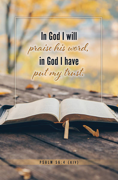 I will praise his word Bulletin
