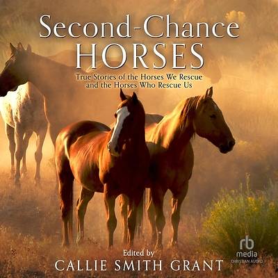 Picture of Second-Chance Horses