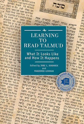 Picture of Learning to Read Talmud