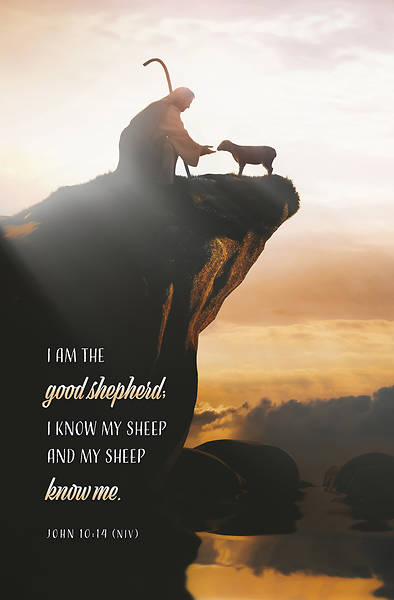 I am the good shepherd Bulletin