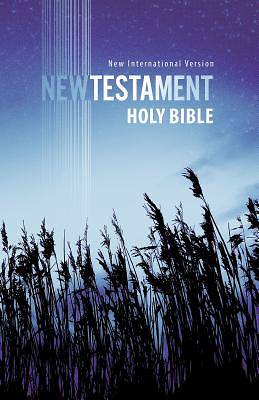 Picture of New International Version Outreach New Testament