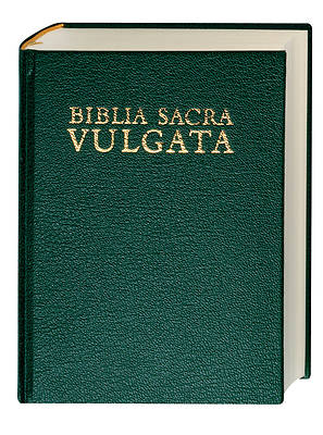 Picture of Holy Bible in Latin