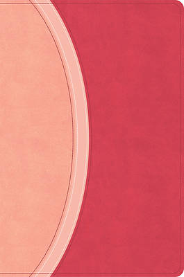 CSB Rainbow Study Bible, Pink Leathertouch
