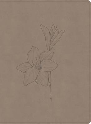 Picture of CSB Verse-By-Verse Reference Bible, Digital Study Edition, Earth Suedesoft Leathertouch