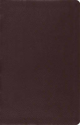 Picture of ESV Large Print Thinline Reference Bible (Brown)