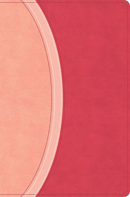 CSB Rainbow Study Bible, Pink Leathertouch, Indexed