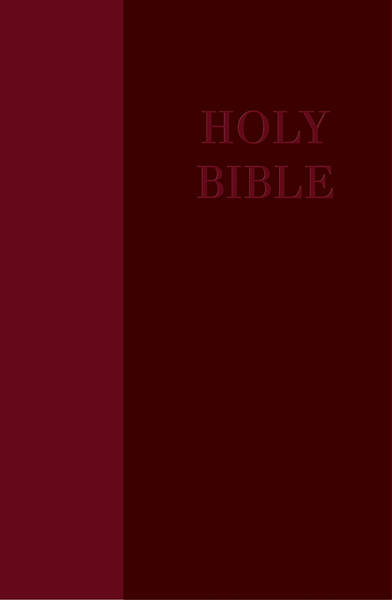 Picture of NRSV Large Print Bible Decotone