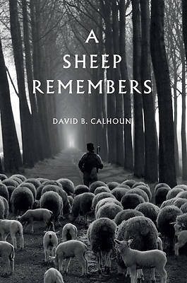 Picture of A Sheep Remembers
