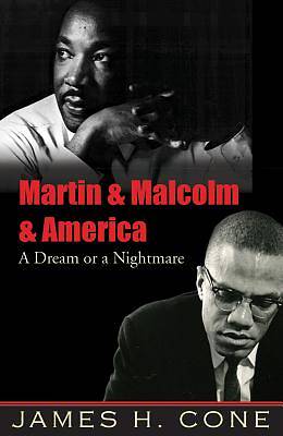 Picture of Martin & Malcolm & America