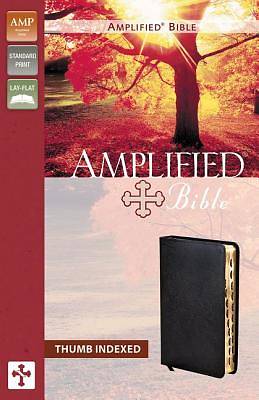 Picture of Text Bible-Am