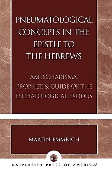Picture of Pneumatological Concepts in the Epistle to the Hebrews