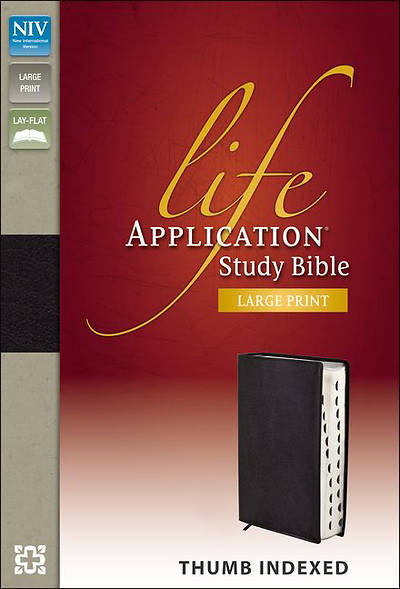 Picture of NIV Life Application Study Bible, Large Print