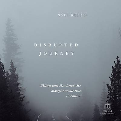 Picture of Disrupted Journey