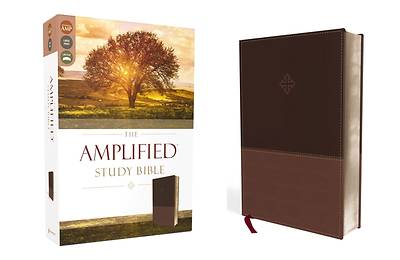 Picture of Amplified Study Bible, Imitation Leather, Brown