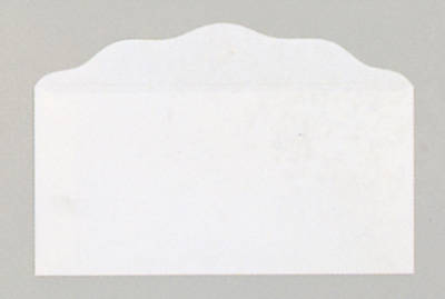 Picture of Bill Size Blank Offering Envelopes  - White