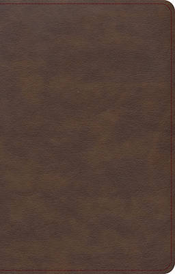 Picture of KJV Single-Column Compact Bible, Brown Leathertouch