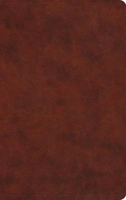 ESV Large Print Value Thinline Bible (Trutone, Chestnut)