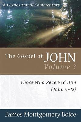 Picture of The Gospel of John Volume 3