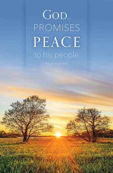 Picture of God Promises Peace Funeral Bulletin