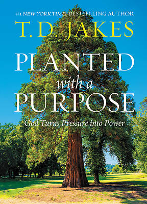 Picture of Planted with a Purpose