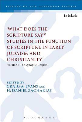 Picture of 'What Does the Scripture Say?' Studies in the Function of Scripture in Early Judaism and Christianity [Adobe Ebook]