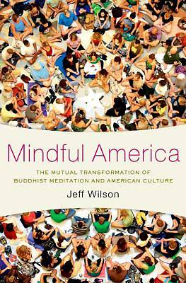 Picture of Mindful America