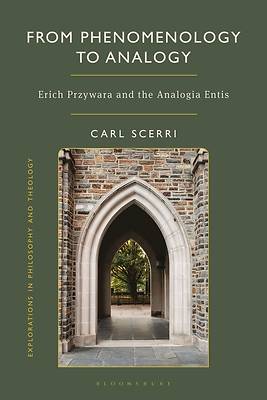 From Phenomenology to Analogy