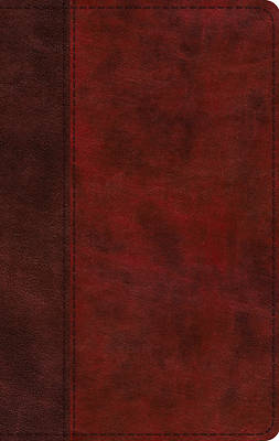 Picture of ESV Large Print Thinline Bible (Trutone, Burgundy/Red, Timeless Design)