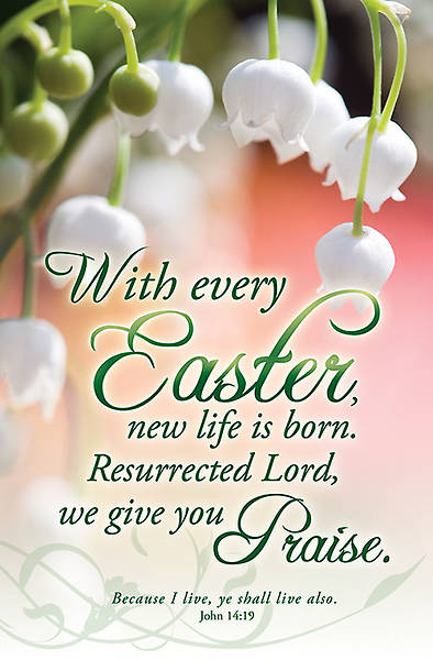 Picture of Easter Bulletin John 14:19, Regular Size Package of 100