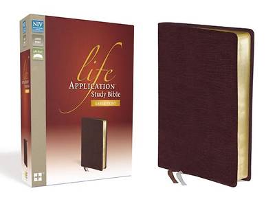 Picture of NIV Life Application Study Bible -  Large Print