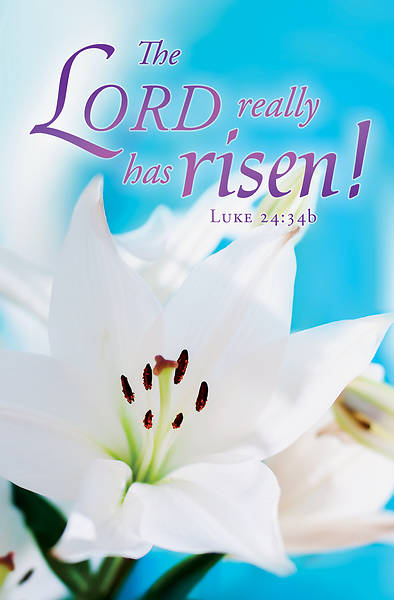 Picture of The Lord Really Has Risen! Easter Bulletin (Pkg of 50)