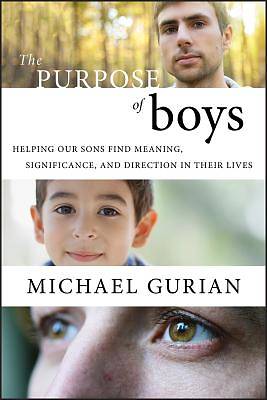 Picture of The Purpose of Boys