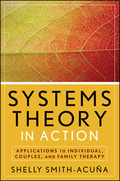 Picture of Systems Theory in Action
