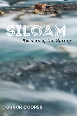 Picture of Siloam