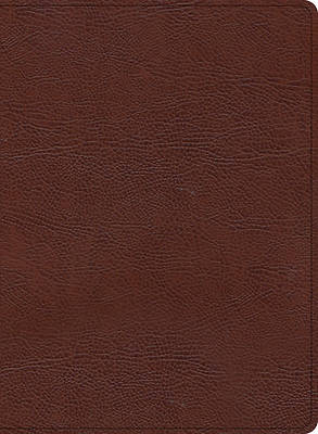 Picture of KJV Study Bible, Large Print Edition, Brown Bonded Leather