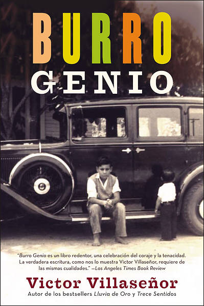 Picture of Burro Genio