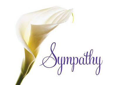 Picture of Church Letter of Sympathy Cards-NRSV (package of 12)