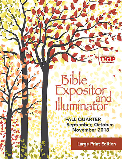 Picture of Bible Expositor and Illuminator Large Print 2018