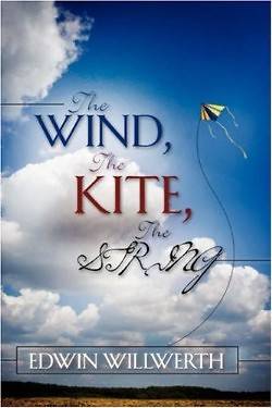 Picture of The Wind, the Kite, the String