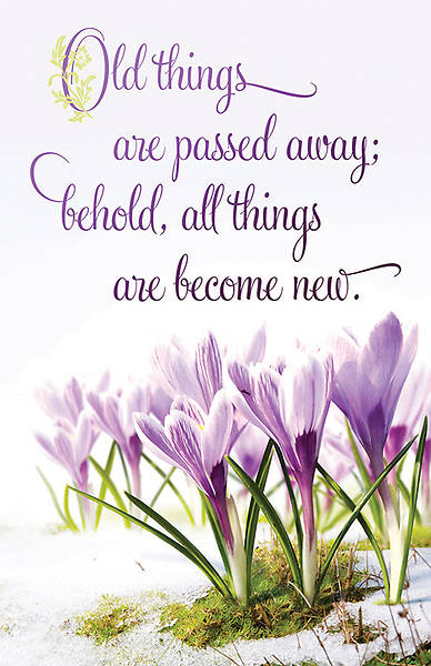 Picture of All Things Become New Bulletin - 2 Corinthians 5:17