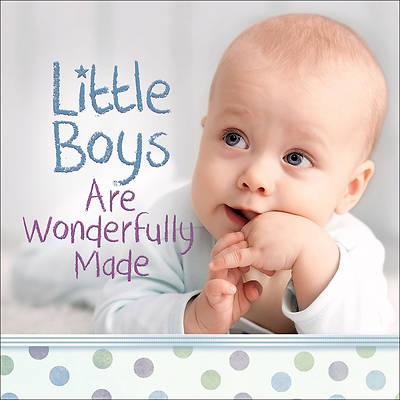 Picture of Little Boys Are Wonderfully Made