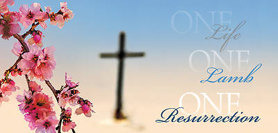 Picture of One Life, One Lamb, One Resurrection Offering Envelope
