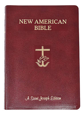 Picture of St. Joseph Giant Print Bible-nab