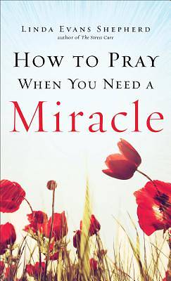 Picture of How to Pray When You Need a Miracle