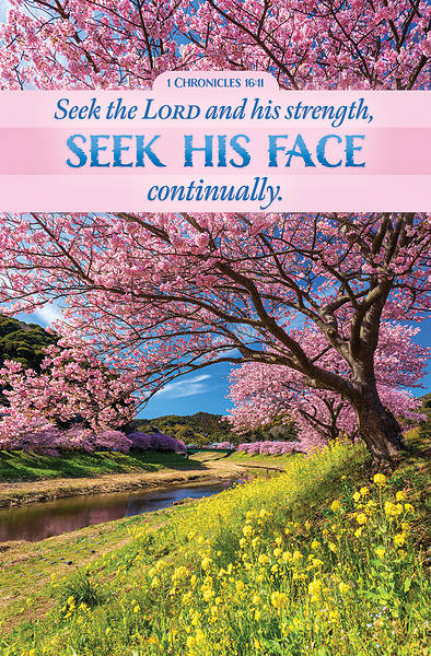 Picture of Seek the Lord Regular Size Bulletin