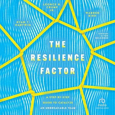 Picture of The Resilience Factor