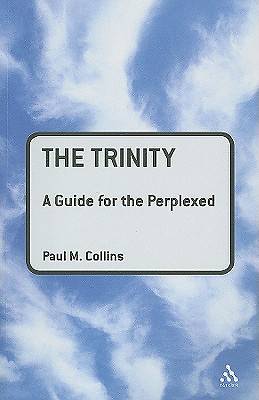 Picture of The Trinity: A Guide for the Perplexed