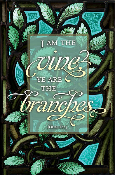 Picture of I Am The Vine Bulletin Regular John 15:5