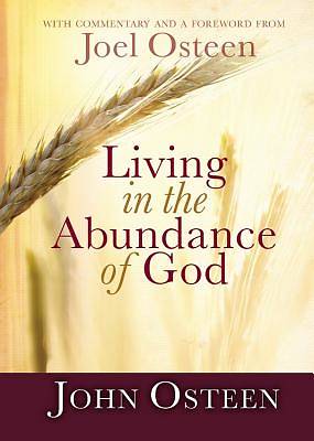 Picture of Living in the Abundance of God