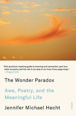 Picture of The Wonder Paradox